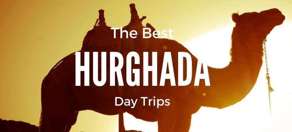 best Hurghada Excursions | hurghada day trips