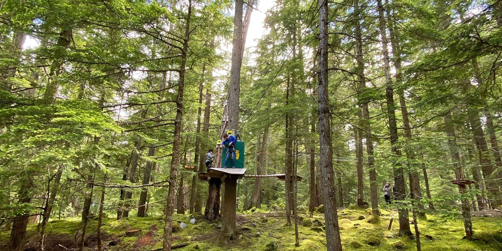 Whistler TreeTop Adventures Kids Course Review