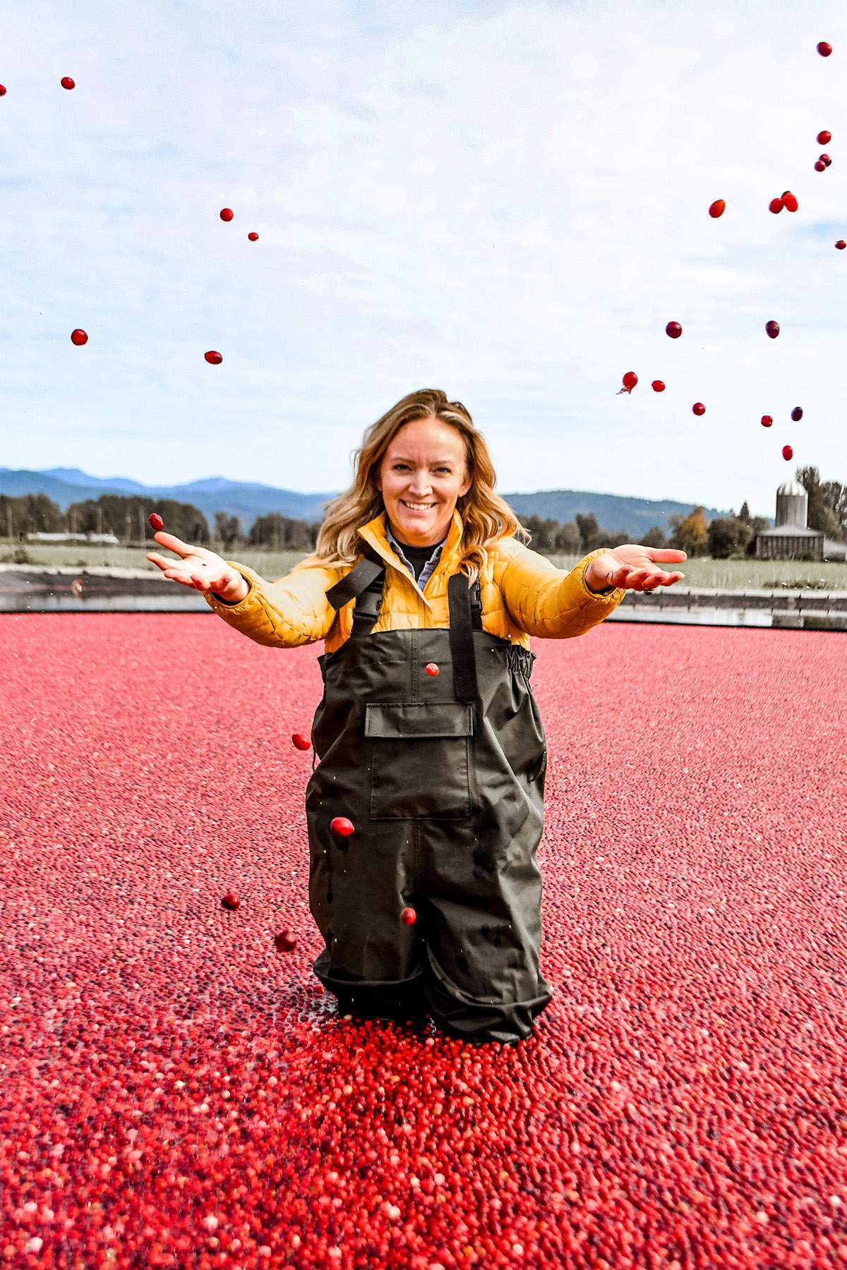 Fraser Valley - Langley - Cranberry bog with kids