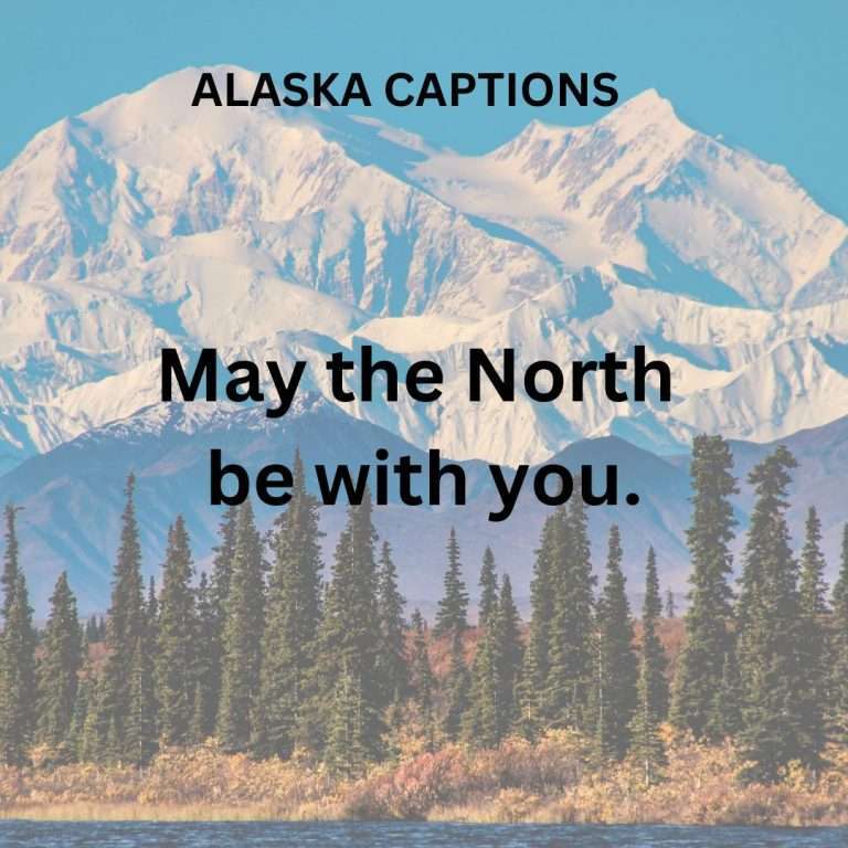 50+ Perfect Alaska Captions for Instagram | Carpe Diem OUR Way Travel