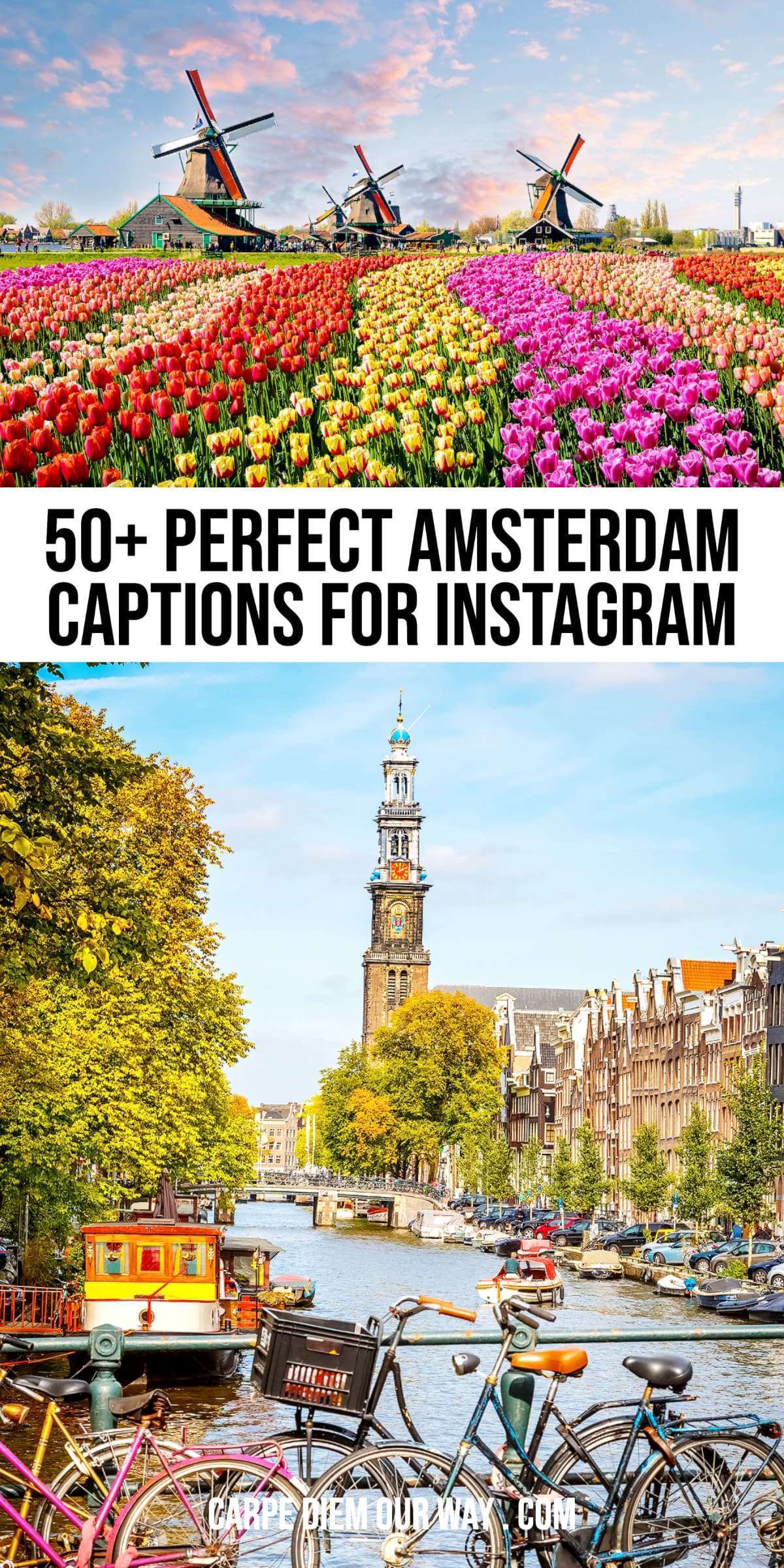 50+ Perfect Amsterdam Captions for Instagram Photos | Carpe Diem OUR ...