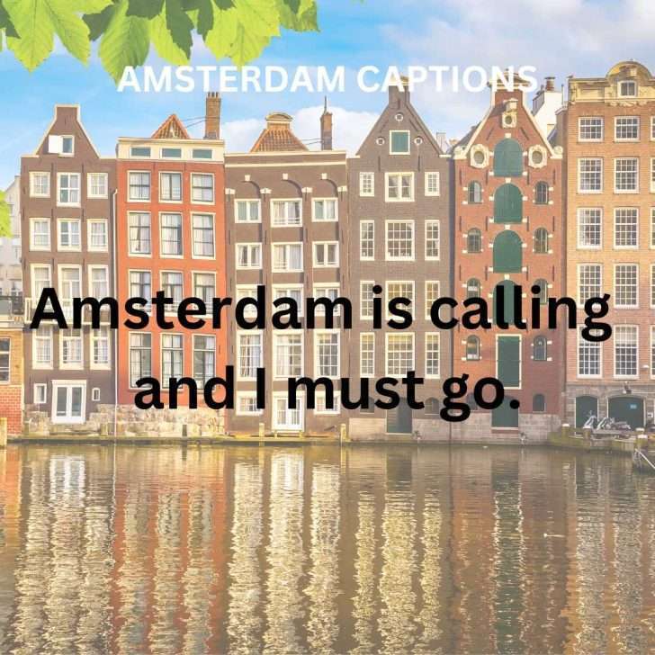 50+ Perfect Amsterdam Captions for Instagram Photos | Carpe Diem OUR ...