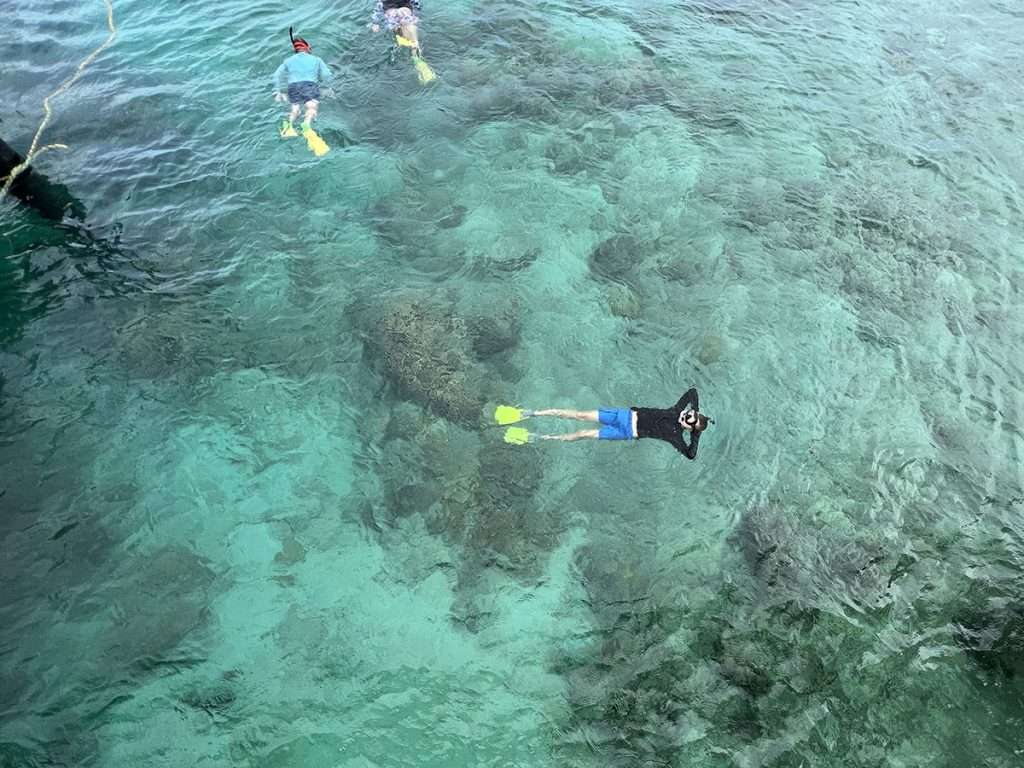 Snorkelling in Fiji