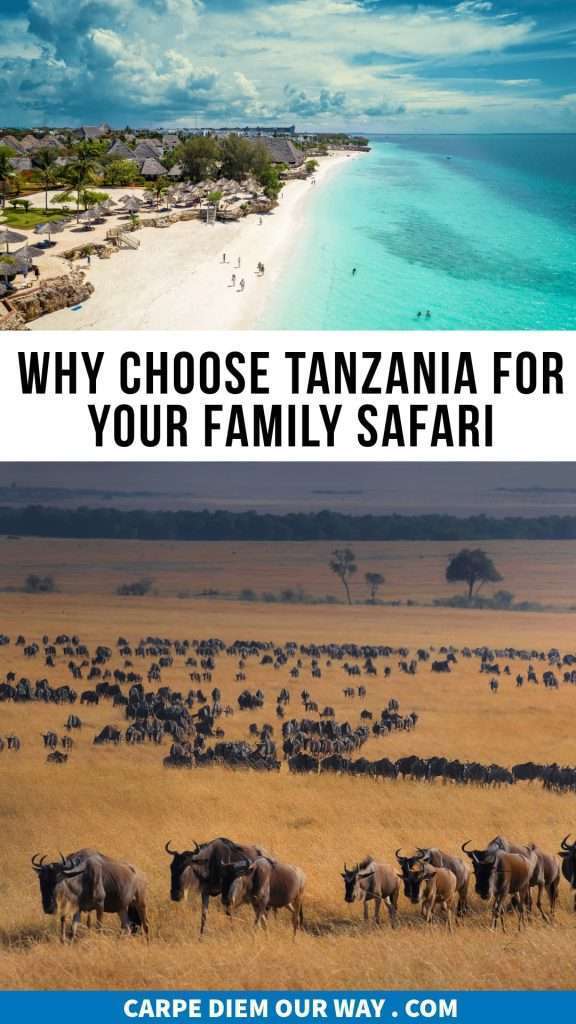 Tanzania family safari photos with great migration on serengeti 