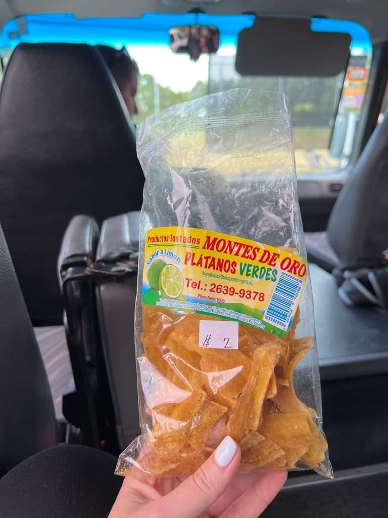 local costa rican snacks