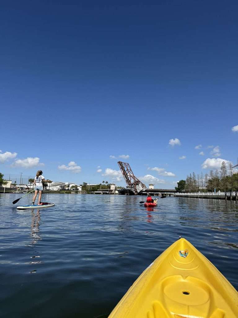 Kayaking or SUP on River in Tampa