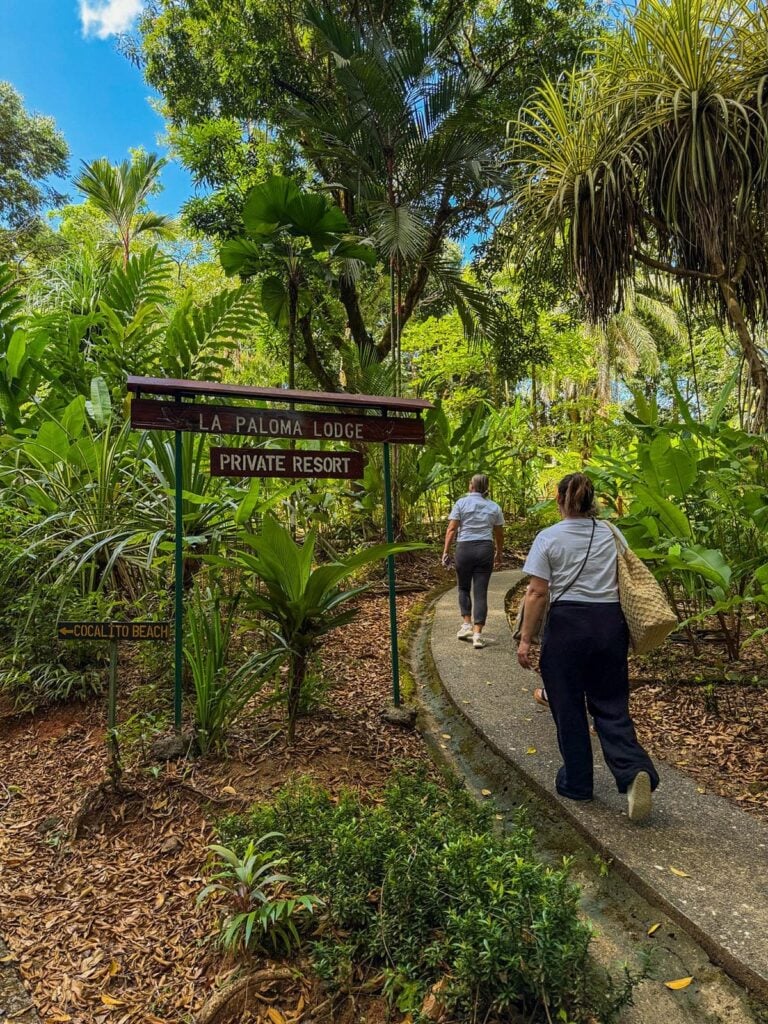 la paloma tropics entrance path